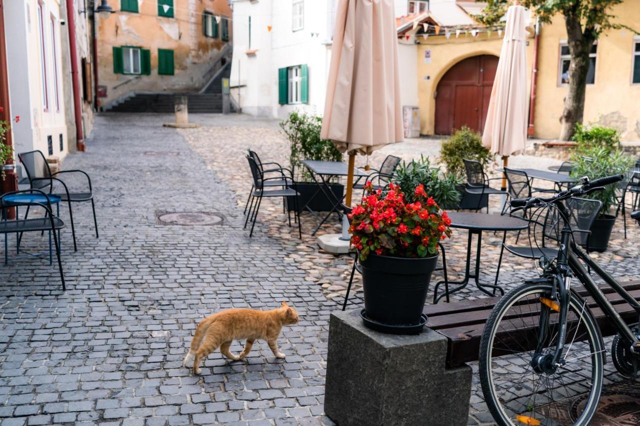 Charming Studio Ideal For Getaways Or Workations In Sibiu'S Medieval City Center ภายนอก รูปภาพ